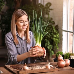 How To Grow Onions At Home without seed
