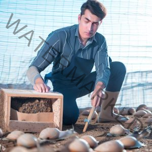 A snail farmer in his farm