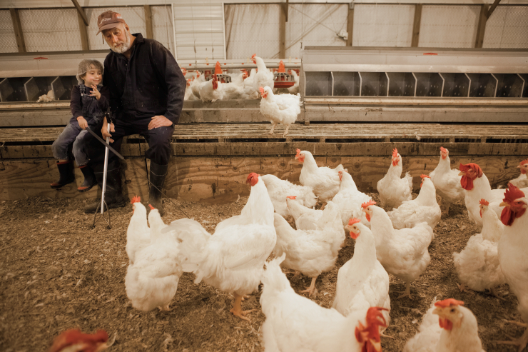 How to Start a Poultry Farming Business in Tennessee
