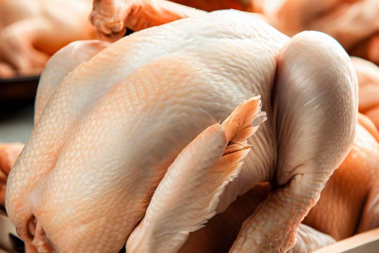 Fresh Chicken Suppliers In UAE