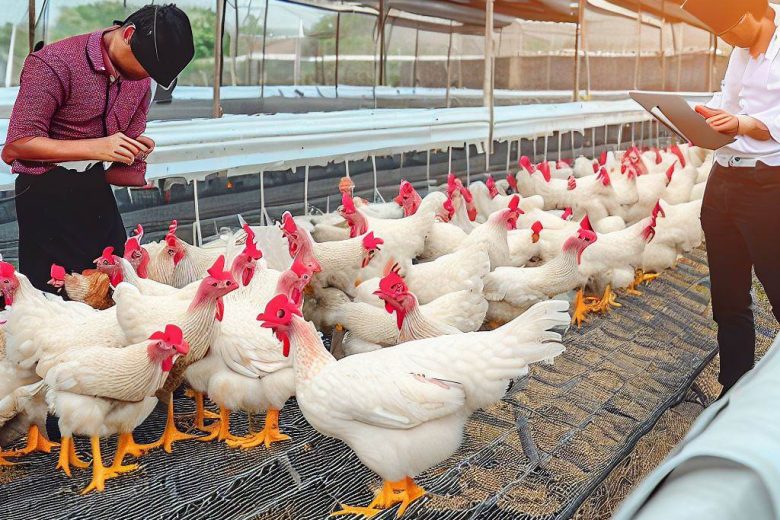 How to Start a Poultry Farming Business in Indiana