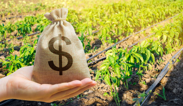 How To Get A Farm Loan With No Down Payment