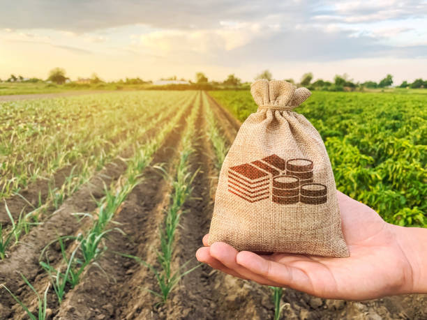 Agricultural Products To Sell That Can Make You A MONEY
