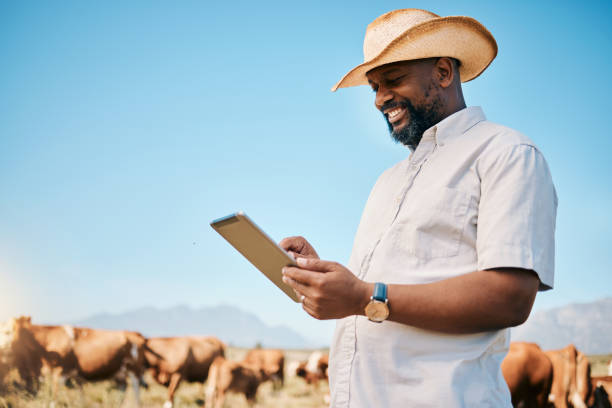 How To Register Your Farm As A Business In South Africa Step By Step Guide