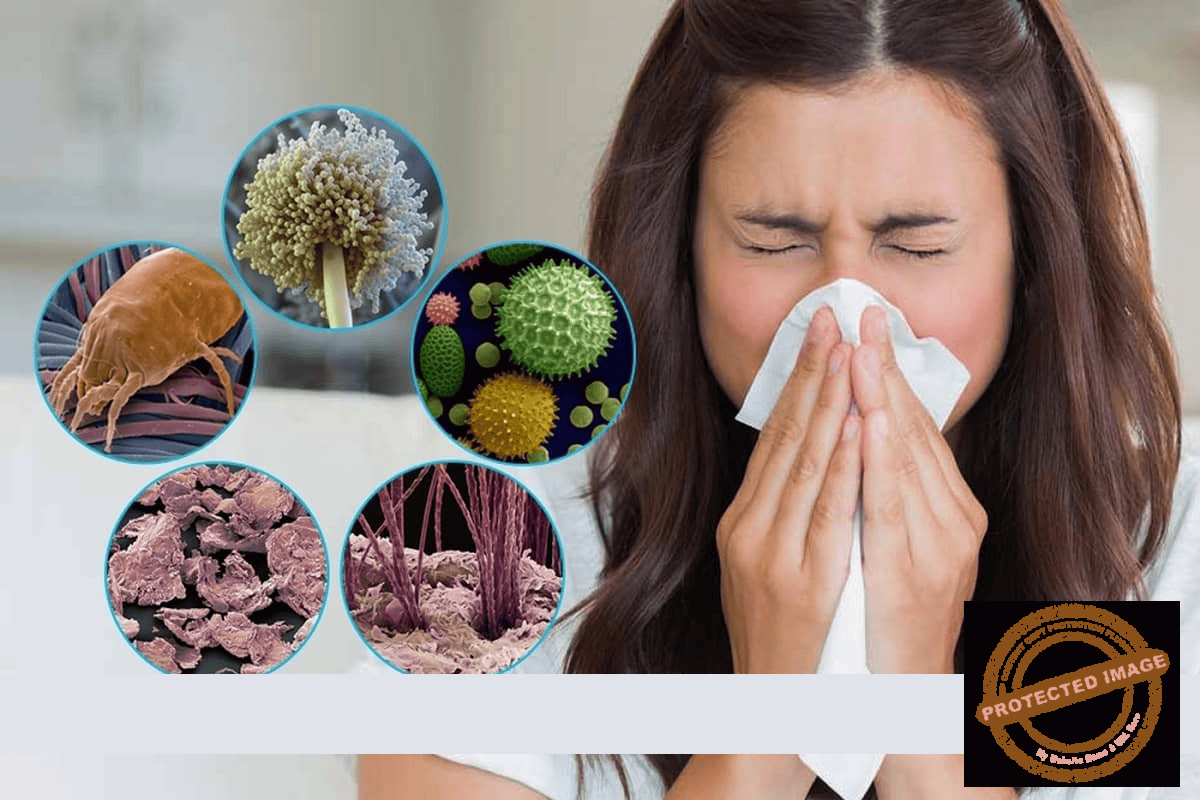 Best Indoor Plants for Allergies and Asthma Sufferers