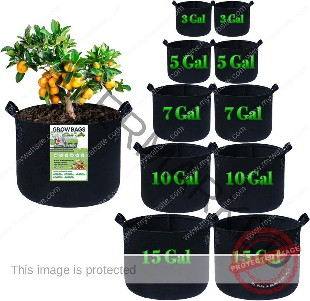 What Size Grow Bag for Tomatoes Should You Choose? (See Different Sizes