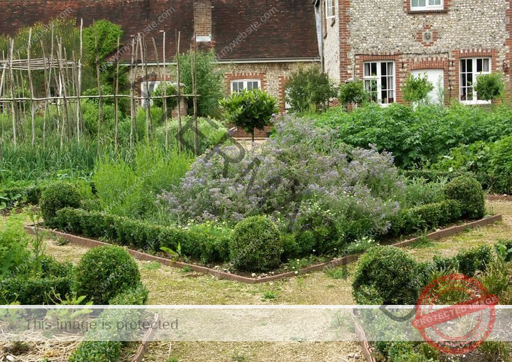 Herb Garden