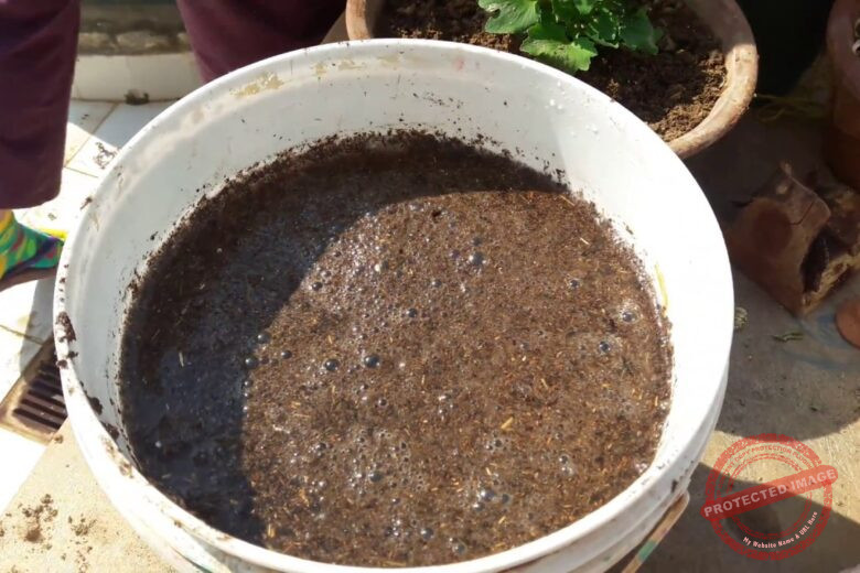 Compost Tea Fertilizer