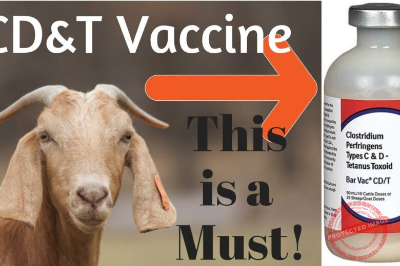 Guide to Sheep & Goat Vaccination