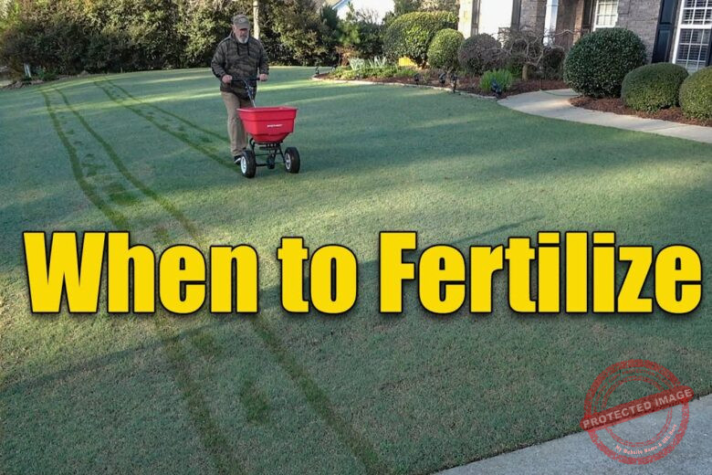 When Is It Too Cold To Fertilize Your Lawn