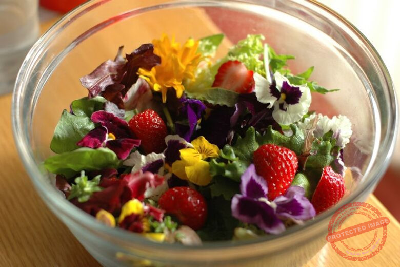 flower food for flowers