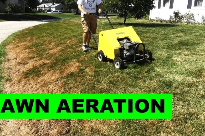 Aerate Your Lawn