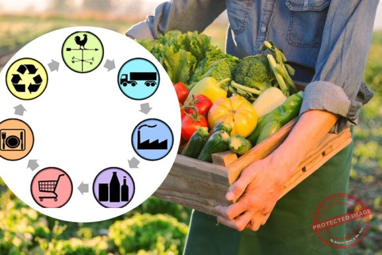 Agri Supply Chain: Trends