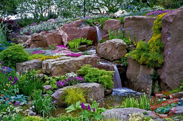 Alpine Rockery