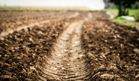 Container Soil Compaction