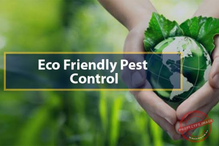 Eco-Friendly Pest Management Strategies