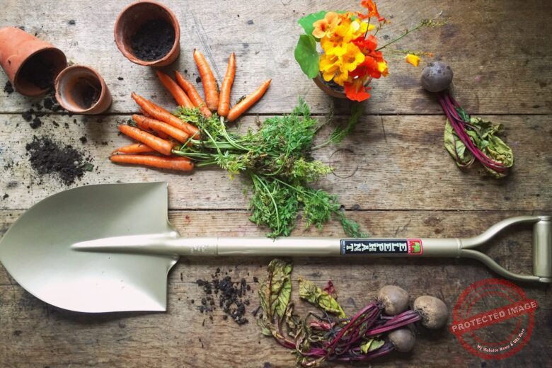 Japanese Tools and Plants for Your Garden