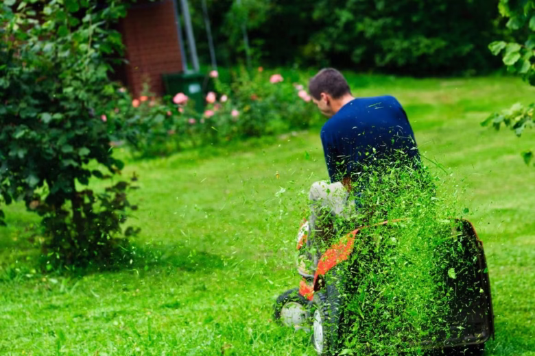 Lawn Care