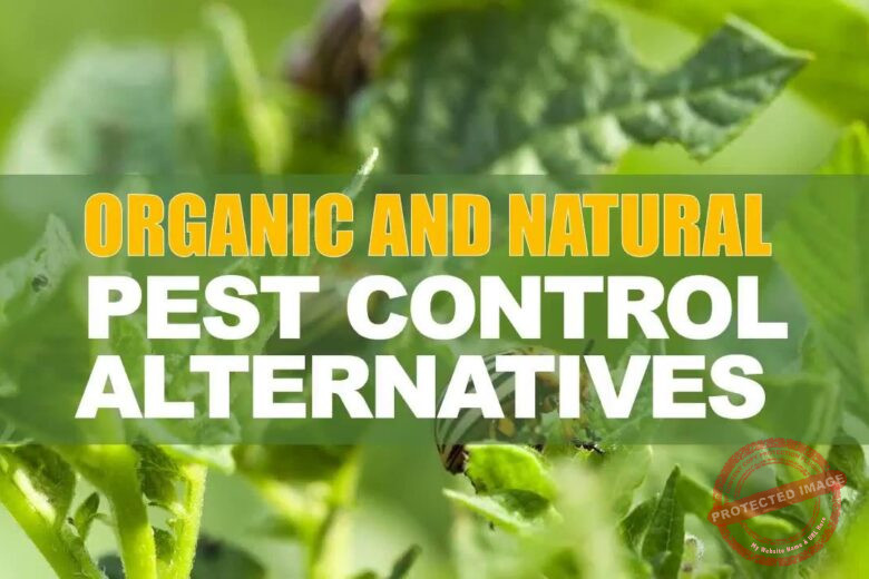 Natural Pest Control in Farming