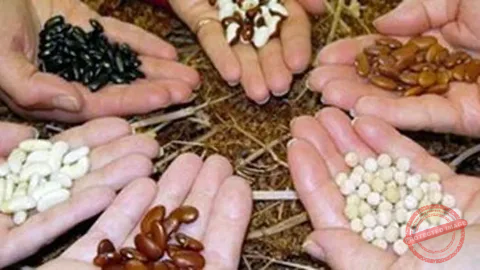 Seed Swapping