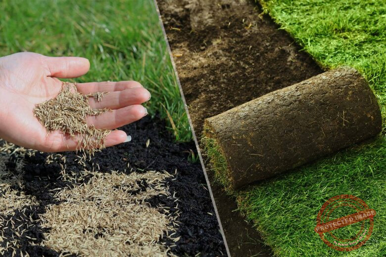 Seed a Lawn