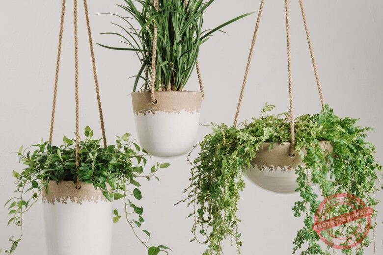 Hanging Planter